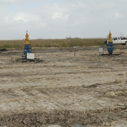 Brown Odom #1 and Pintail #1 photo